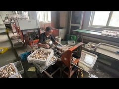 ODM латуни газовой трубы отключения клапана на заказ с голубым цветом ручки